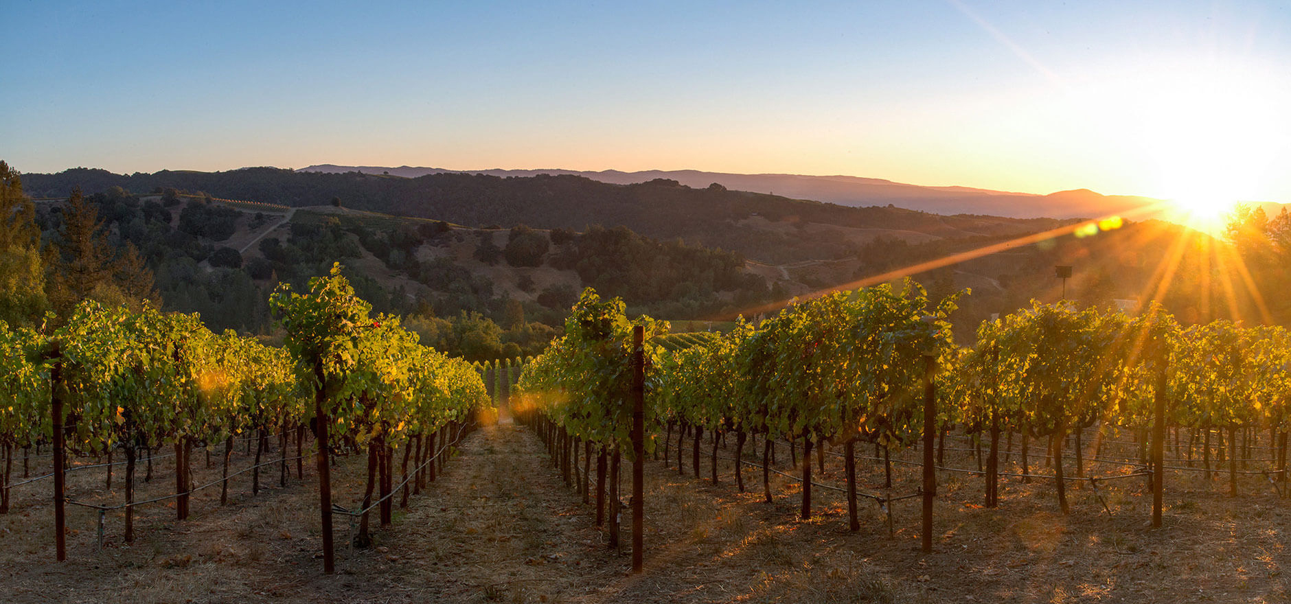 Napa's Premier Plumbers